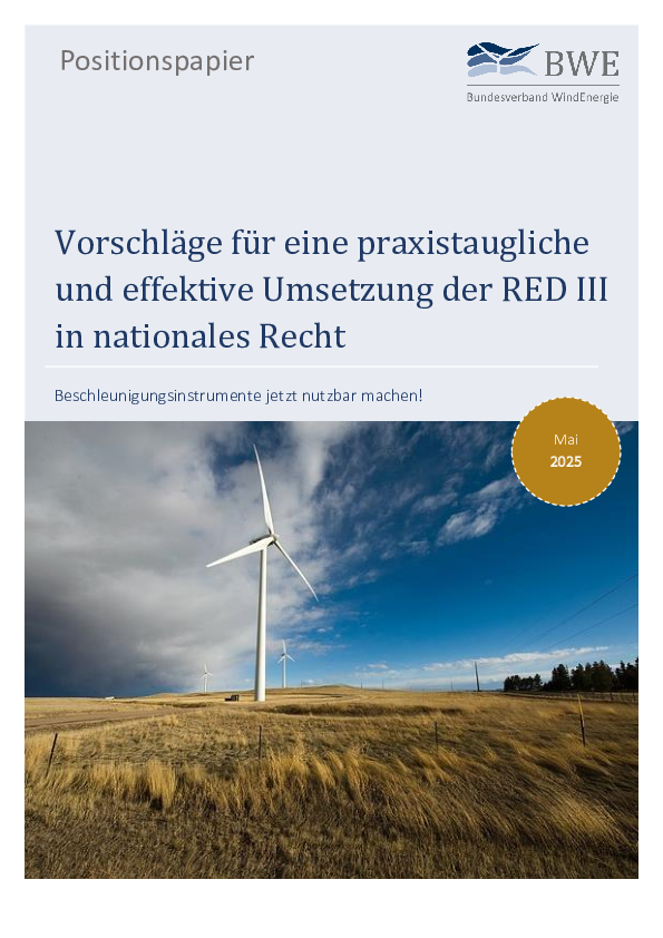 Vorschläge für eine praxistaugliche und effektive Umsetzung der RED III in nationales Recht (05/2025)