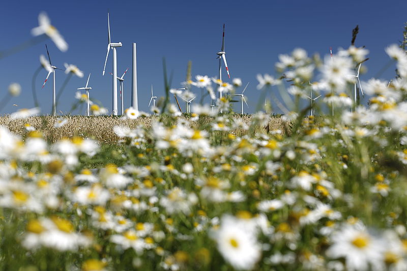 Repoweringprojekt Holßel im Landkreis Cuxhaven Repoweringprojekt Holßel im Landkreis Cuxhaven