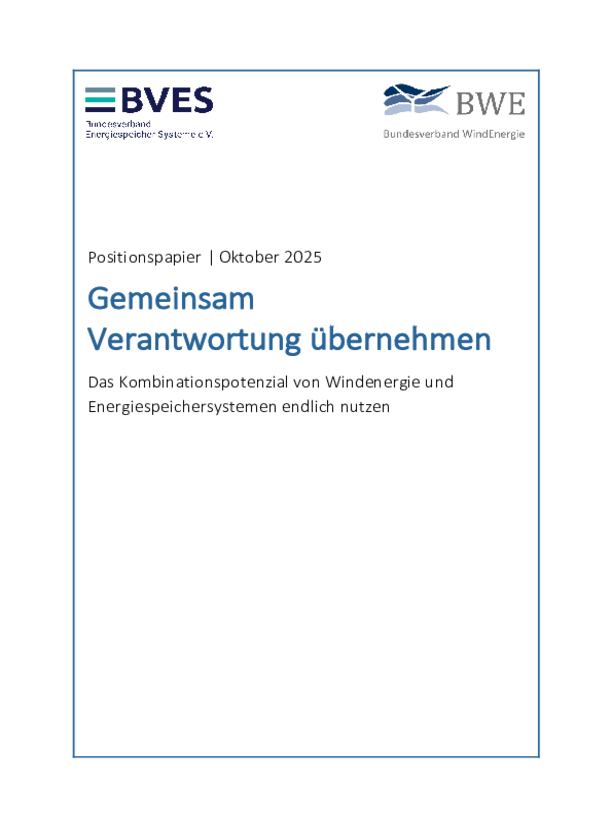  BWE und BVES: Positionspapier - Gemeinsam Verantwortung übernehmen (10/2025)