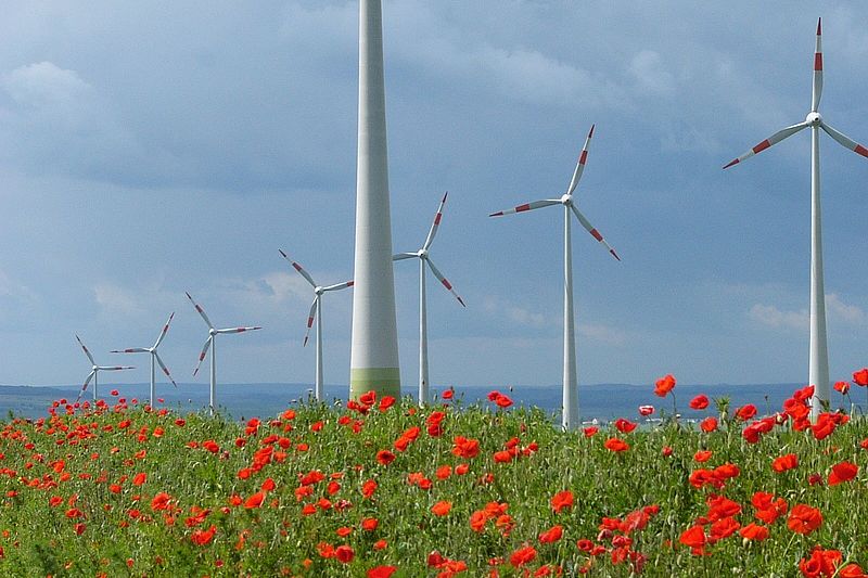 Windpark in Sachsen-Anhalt Windpark in Sachsen-Anhalt