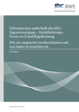 Erlösoptionen außerhalb des EEG Erlösoptionen außerhalb des EEG