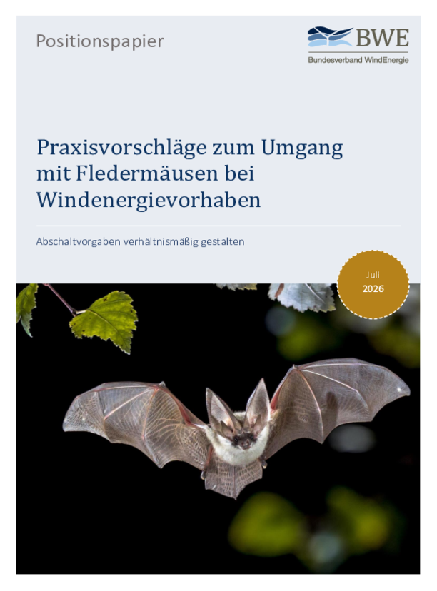 Positionspapier: Praxisvorschläge zum Umgang mit Fledermäusen bei Windenergievorhaben