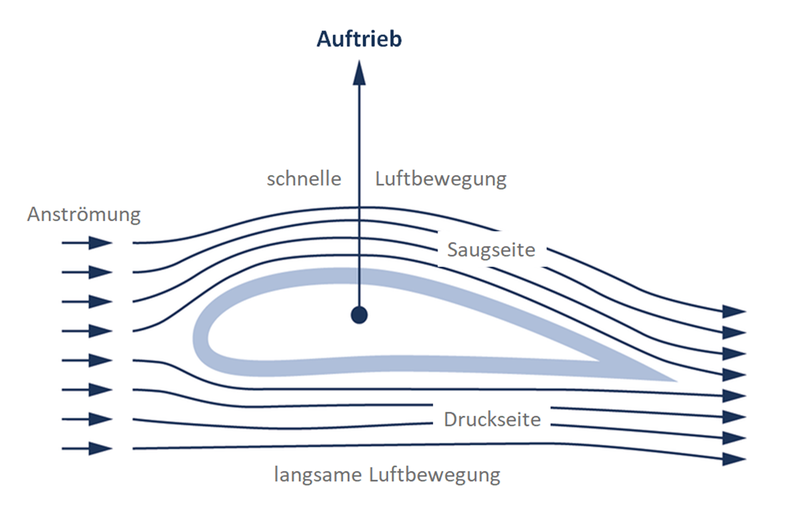 Auftriebsprinzip