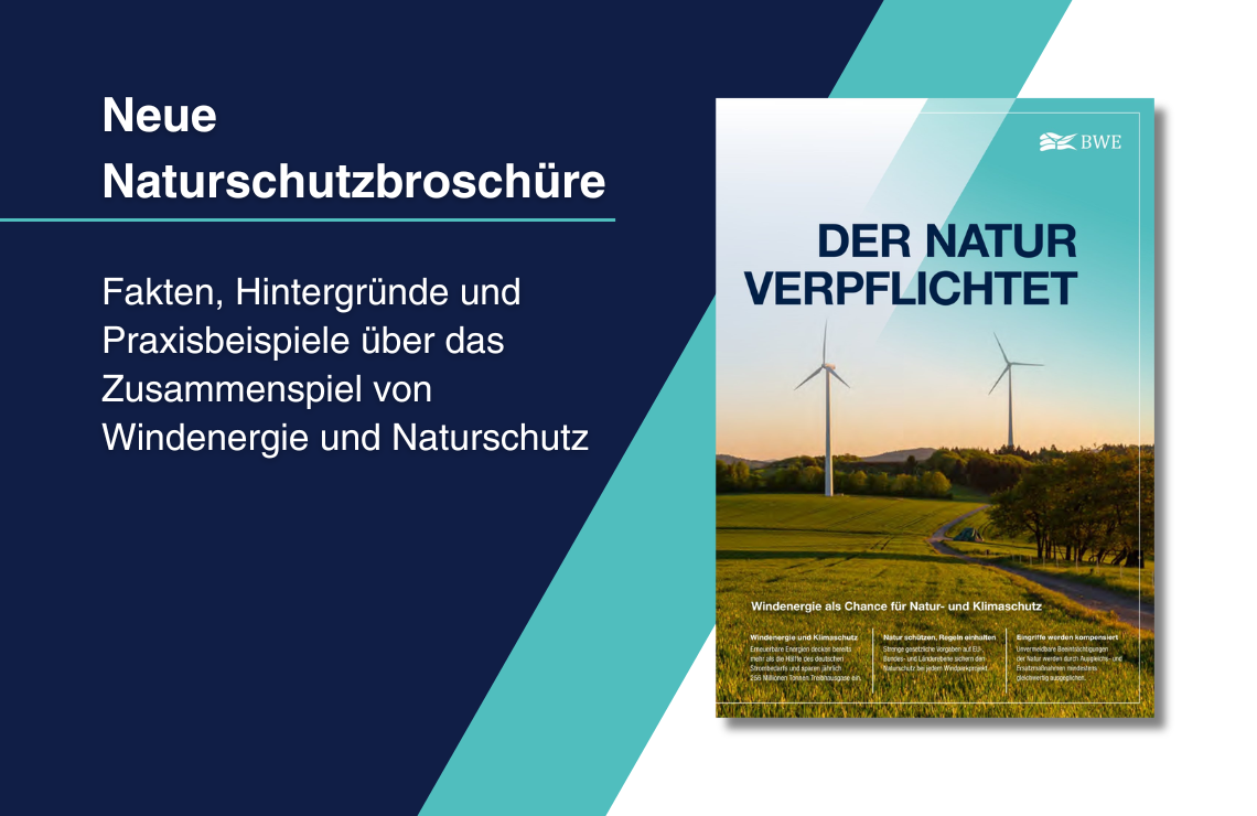 Beschreibung: 