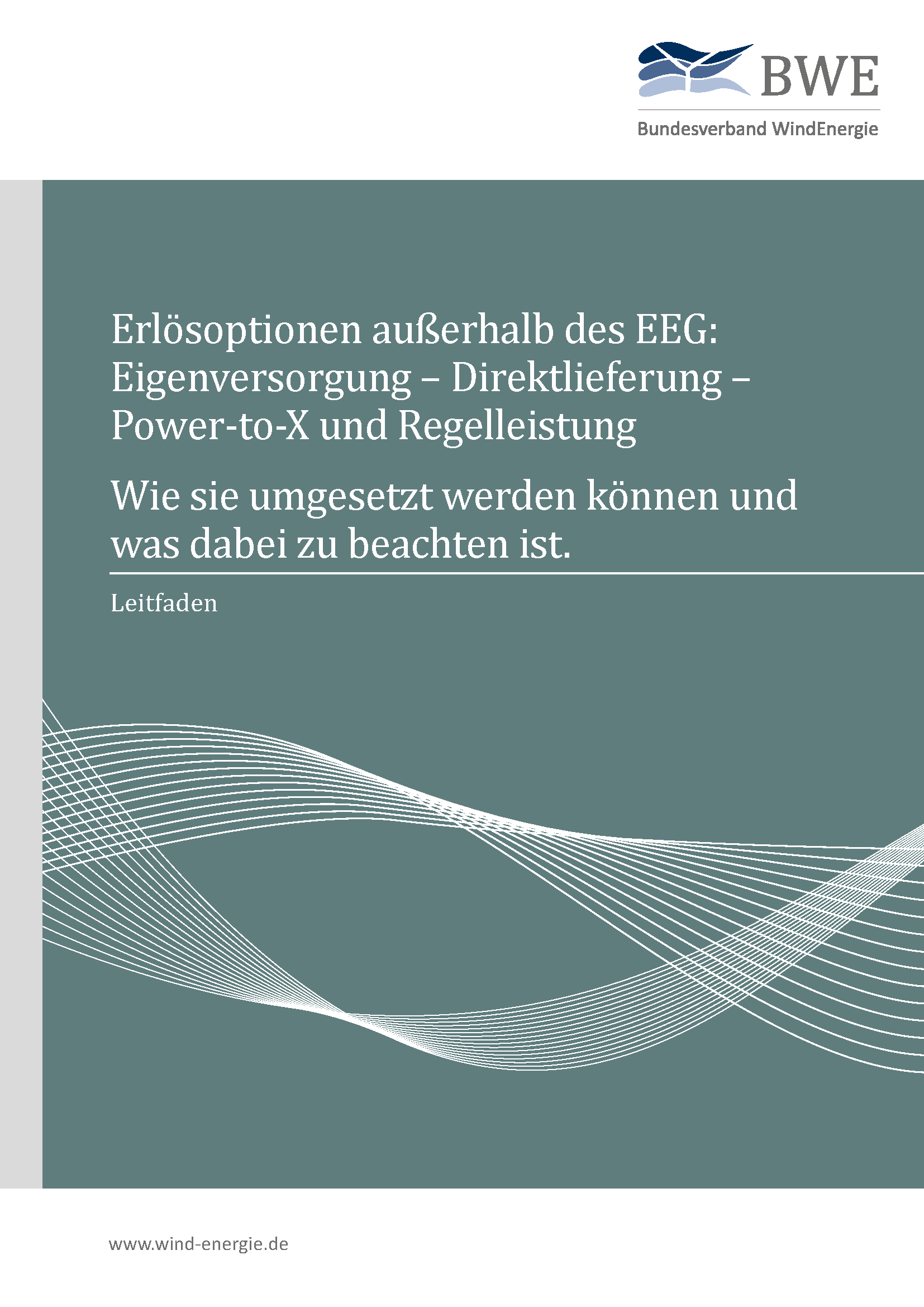 Erlösoptionen außerhalb des EEG Erlösoptionen außerhalb des EEG